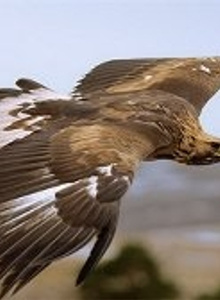 Fotoğraf #3777176