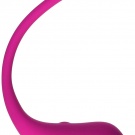 Lovense Vibratoy