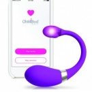 interactive toy
