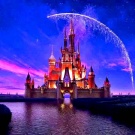 A trip to the Disneyland