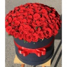 101 roses