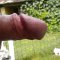 peeeest