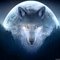 TR_dadas_2507