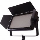 Lights Camera Action