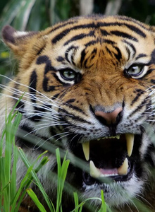 Sergey-231979 photo 4851622 thumbnail