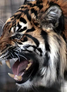 Sergey-231979 My Photos photo 4872140