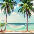 my wishes: My main desires are: to buy a house, then a car, to open my own business and live in peace. Then I want to go around the world !! The first place I would go would be Maldives, then Paris, Canada, Greece, etc