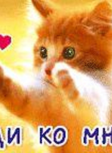 My Photos