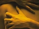 sandra788725