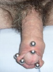 bitte piercings