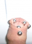 titiclitoris photo 3983935 thumbnail