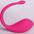Lovense 2