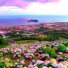 Цвет