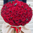 хочу много роз на днр