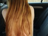 GingerBrat