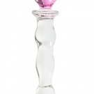  the glass dildo