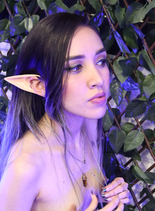 사진 #5348803