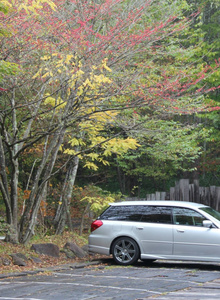 daison0225 My Photos photo 4201314