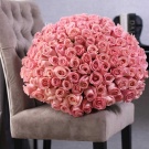 101 roses