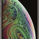 Мобильный телефон Apple iPhone XS Max 256GB (серый космос)