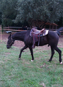 alisajoz My Photos photo 4441422