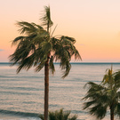 trip to Miami