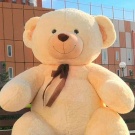 плюшевый медведь