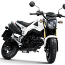 DahianVega wish list item 7 thumbnail