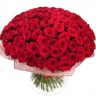 BagiraHoty wish list item 1 thumbnail