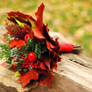 Autumn is the best time of year...