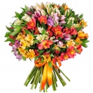 A bunch of my favorite flowers