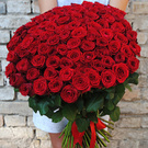 101 red roses or 5555 tokens)