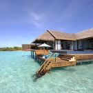not forgettable relax