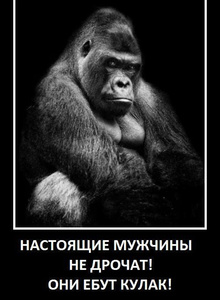 My Photos