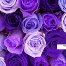 NoFace_Girl wish list item 2 thumbnail