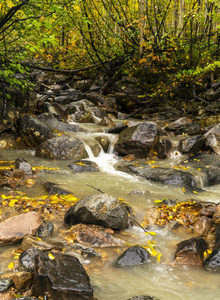 subzero_2014 My Photos photo 4269850