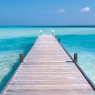 I want to know the sea 30.000 tokens