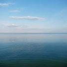 Vikki-95 wish list item 1 thumbnail