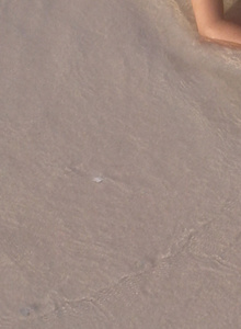beach and sea