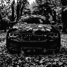 BMWWWW ❤❤❤❤❤❤❤❤