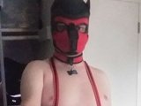 ZentaiPup23
