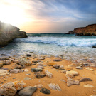 Go to the sea