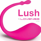 GianaLoveLace wish list item 1 thumbnail