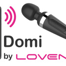 Hitachi Domi