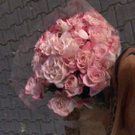 Люблю вежливость