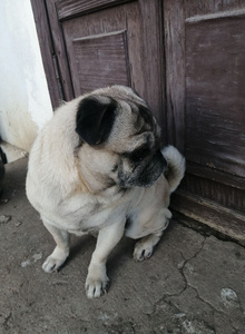 Wwwjik My Photos photo 4460315