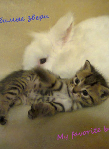 EpicStorm My Photos photo 4590059