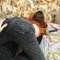 Kitties228