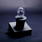 The World’s First Diamond Ring