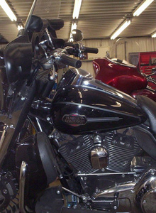 Roguish_Crown photo 4680820 thumbnail